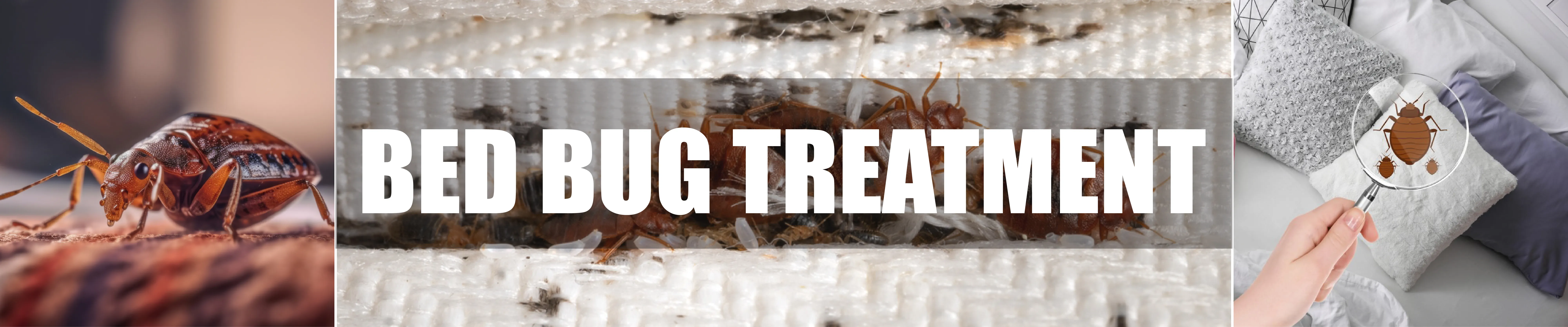 carpet cleaning in brooklyn, carpet cleaning in brooklyn, carpet cleaning brooklyn, carpet cleaners in brooklyn, carpet cleaners in brooklyn, commercial carpet cleaning, commercial carpet cleaning in brooklyn, brooklyn rug cleaners, rug cleaning services in brooklyn, same day carpet cleaning, same day rug cleaning