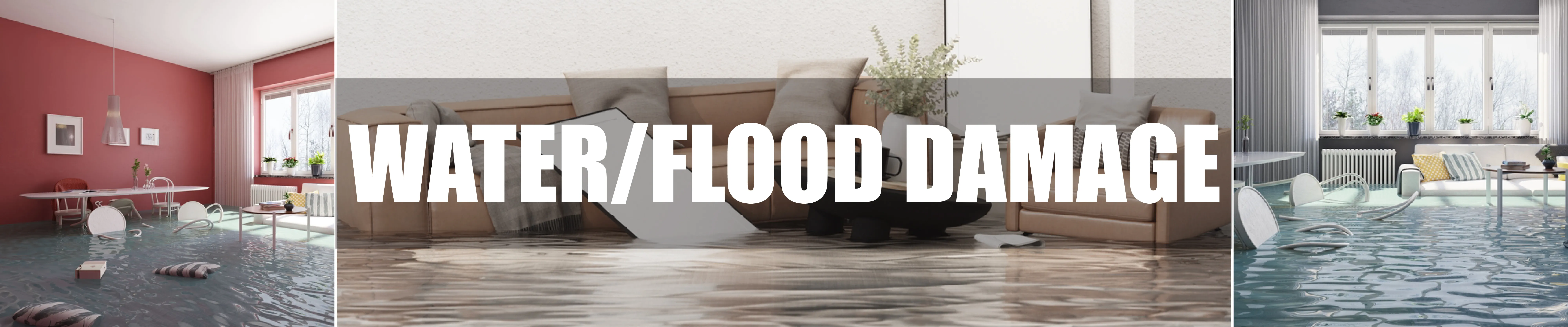 carpet cleaning in brooklyn, carpet cleaning in brooklyn, carpet cleaning brooklyn, carpet cleaners in brooklyn, carpet cleaners in brooklyn, commercial carpet cleaning, commercial carpet cleaning in brooklyn, brooklyn rug cleaners, rug cleaning services in brooklyn, same day carpet cleaning, same day rug cleaning