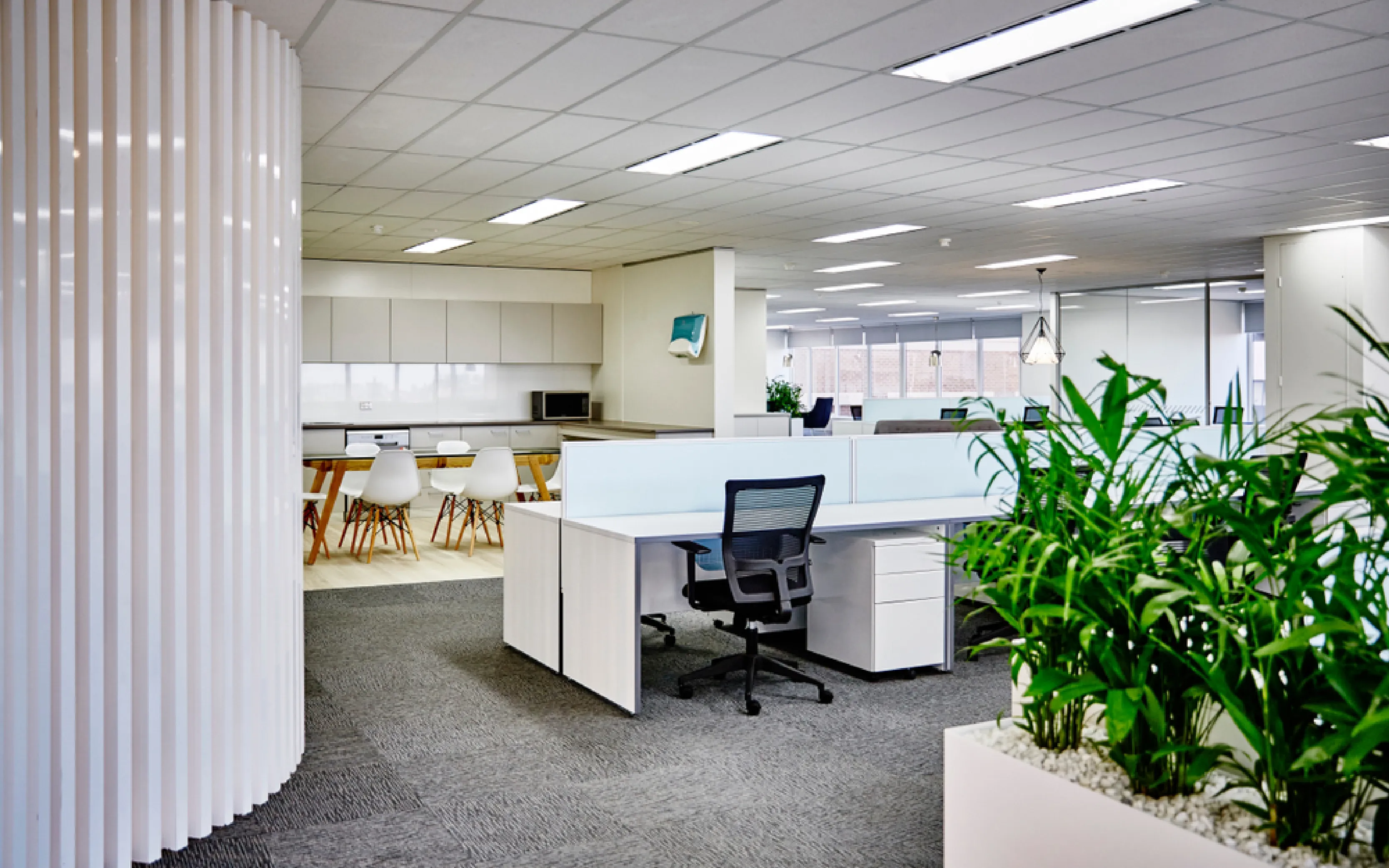 carpet cleaning in brooklyn, carpet cleaning in brooklyn, carpet cleaning brooklyn, carpet cleaners in brooklyn, carpet cleaners in brooklyn, commercial carpet cleaning, commercial carpet cleaning in brooklyn, brooklyn rug cleaners, rug cleaning services in brooklyn, same day carpet cleaning, same day rug cleaning