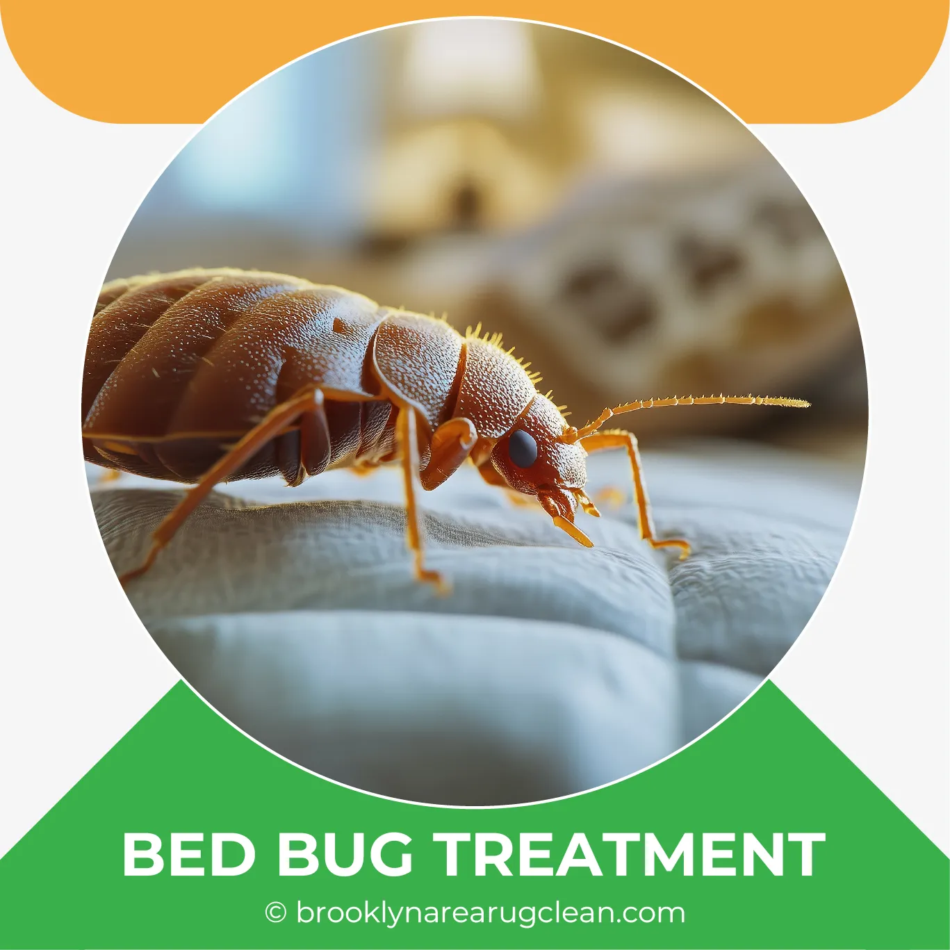 carpet cleaning in brooklyn, carpet cleaning in new york, carpet cleaning brooklyn, carpet cleaners in brooklyn, carpet cleaners in new york, commercial carpet cleaning, commercial carpet cleaning in brooklyn, brooklyn rug cleaners, rug cleaning services in brooklyn, same day carpet cleaning, same day rug cleaning